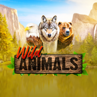 Wild Animals